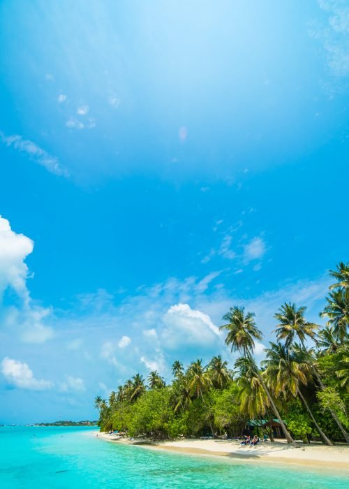 Beautiful tropical Maldives island with beach , sea , and coconut palm tree on blue sky for nature holiday vacation background concept -Boost up color Processing